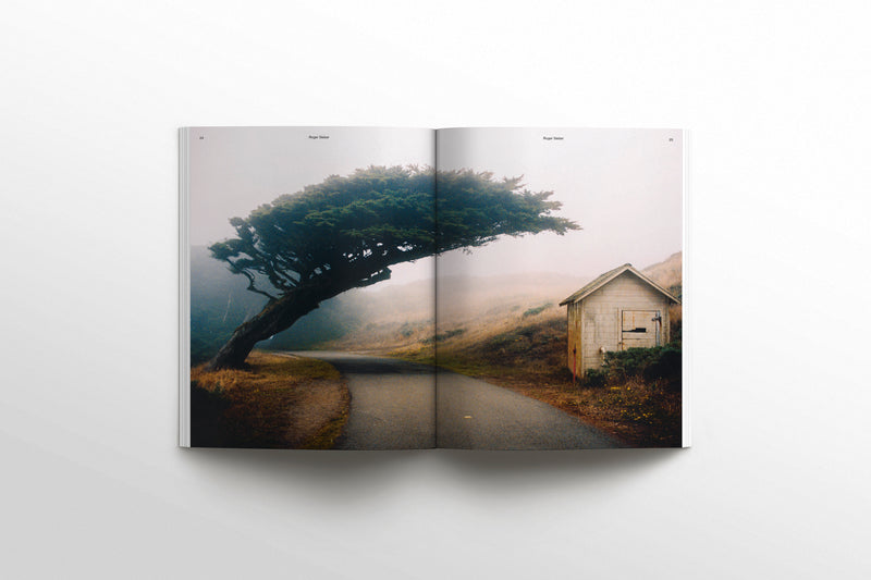 Waves & Woods Issue #39